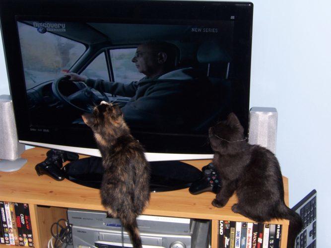 30 French Slang Words To Impress Your Friends