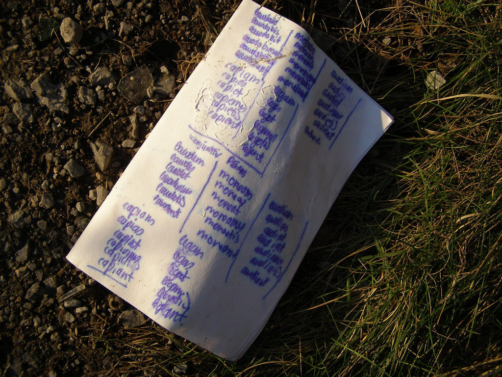 Latin Declensions Our Memorising Tips