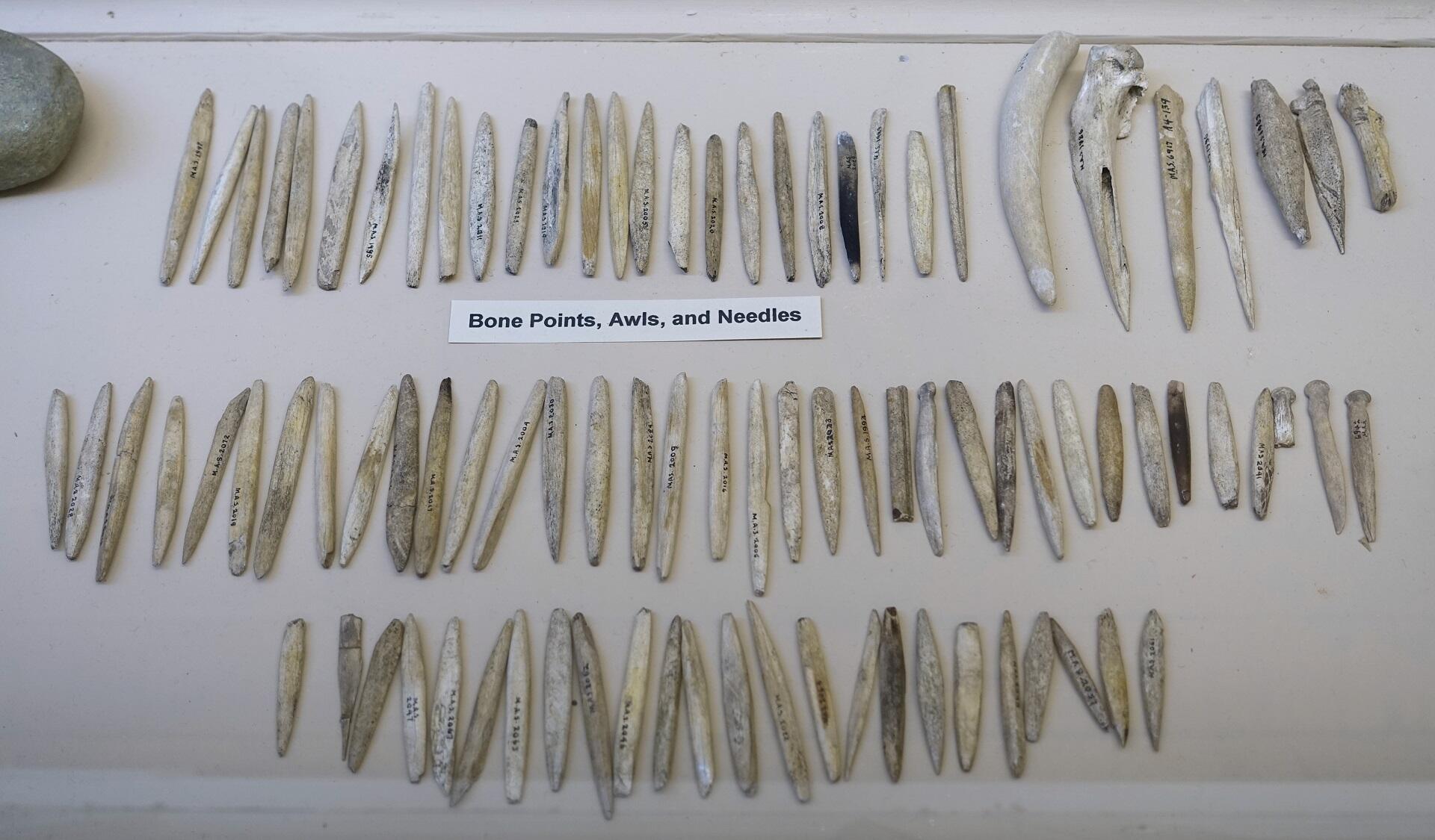 Prehistoric sewing needles and other tools made of bone.